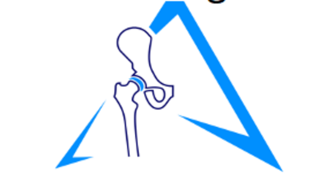 COURSE: PRESERVING THE ACTIVE HIP 